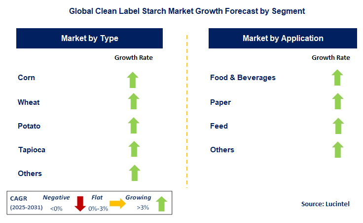 Clean Label Starch Market by Segment